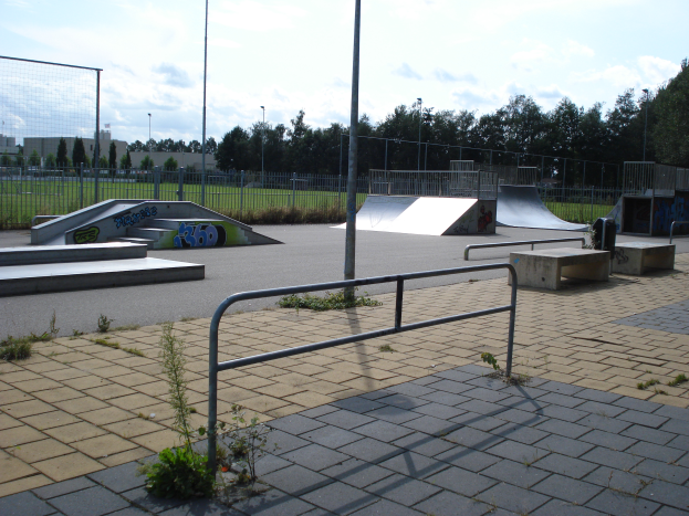 Ein Skatepark mit Rampen, Geländern, Hindernissen und verschiedenen Hindernissen, umgeben von Pflanzen, Gras, Pfählen, Bäumen und Gebäuden unter einem bewölktem Himmel.