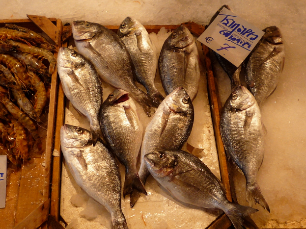 Fisch und Garnelen auf Holzplatten mit einem Papier auf der rechten Seite, alles auf Eis gelegt.