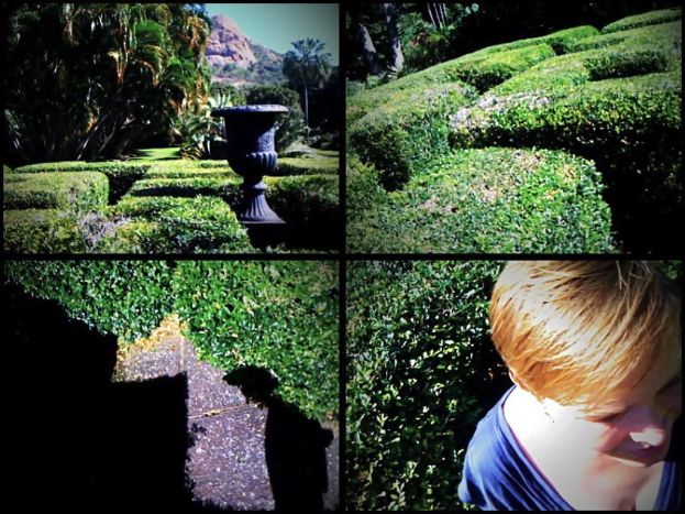 Ein Collage mit Pflanzen, Bäumen, Bergen, einer Person und einem Brunnen.
