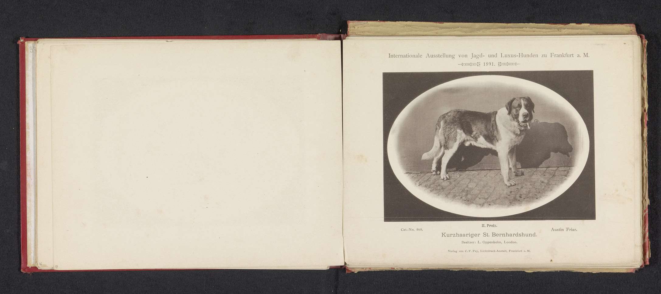 Ein aufgeschlagenes Buch mit dem Titel "Internationale Ausstellung von Jagd- und Lexus-Hunden in Frankfurt a.M." und einem Schwarz-Weiß-Foto eines Hundes.