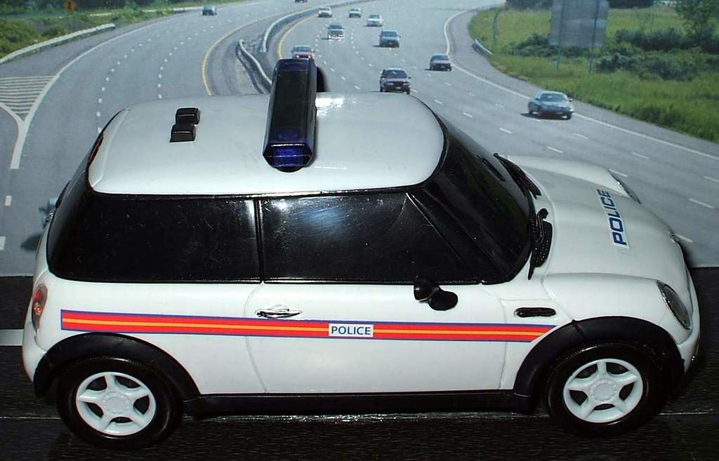 Ein weißer Polizeiwagen steht vor einer befahrenen Straße mit fahrenden Fahrzeugen, umgeben von Gras und Bäumen auf beiden Seiten, in einer ländlichen Umgebung.