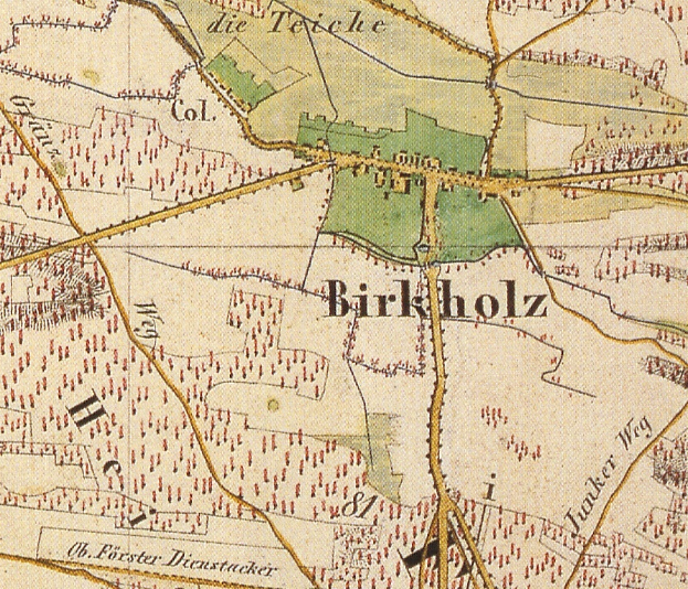 Ein detaillierter alter Stadtplan von Birkholz, Deutschland, mit Text, der einen umfassenden Überblick über das Gebiet bietet.