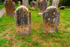 Friedhof mit zahlreichen moosbewachsenen Grabsteinen, Gras und Bäumen im Hintergrund.