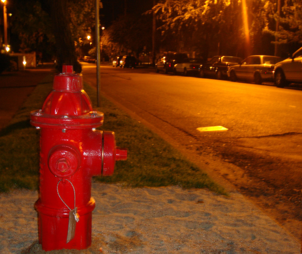 Ein Feuerhydrant am Straßenrand mit parkenden Autos und Bäumen im Hintergrund.