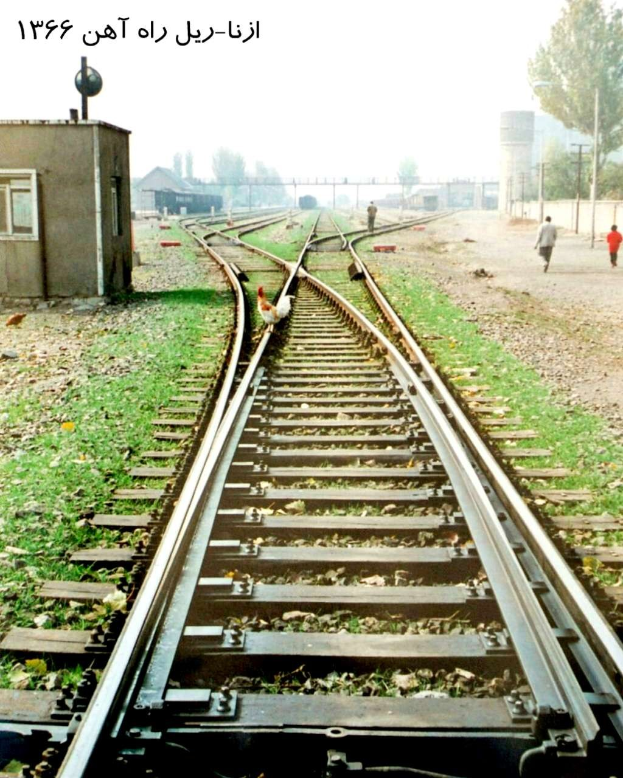 Ein Vogel sitzt auf einem Bahnsteig neben Gras und Steinen, mit Menschen in der Nähe, Bäumen, Polen, Gebäuden und Himmel im Hintergrund und Text oben.