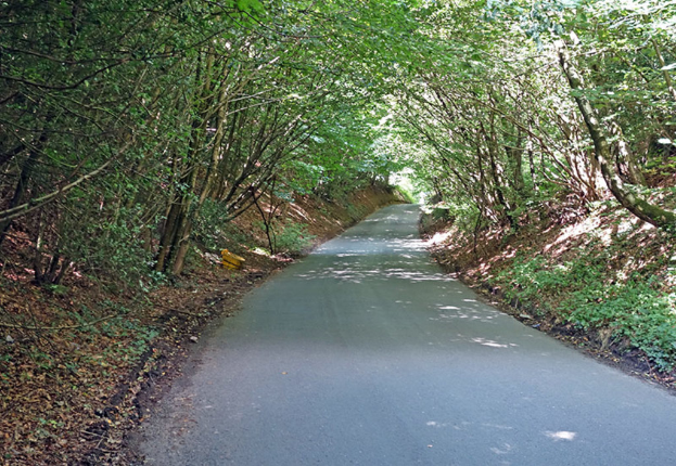 Eine von Gras und Bäumen umgebene Straße.