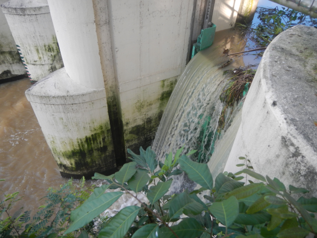 Ein kleiner Wasserfall ergießt sich über eine Betonstruktur in der Mitte eines Flusses, umgeben von üppiger grüner Vegetation und Säulen, durch die das Wasser fließt.
