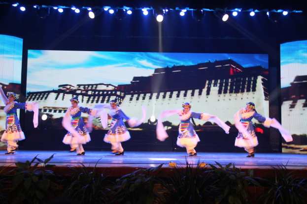 Eine Gruppe von Menschen in bunten Kleidern, die auf einer Bühne tanzen, beleuchtet von Scheinwerfern von oben mit Pflanzen unten und einem großen Bildschirm im Hintergrund.