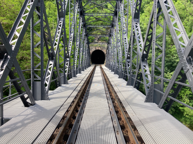 Eine Stahlbrücke mit einem hindurchfahrenden Zug, umgeben von Bäumen, mit einer tunnelartigen Struktur am Ende.