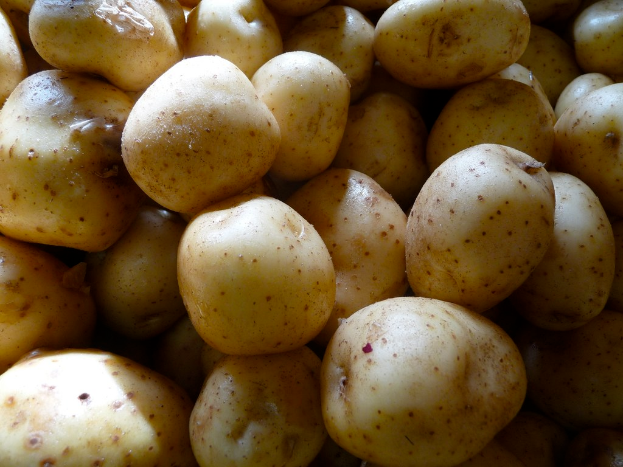 Viele Kartoffeln sind prominent im Vordergrund zu sehen.