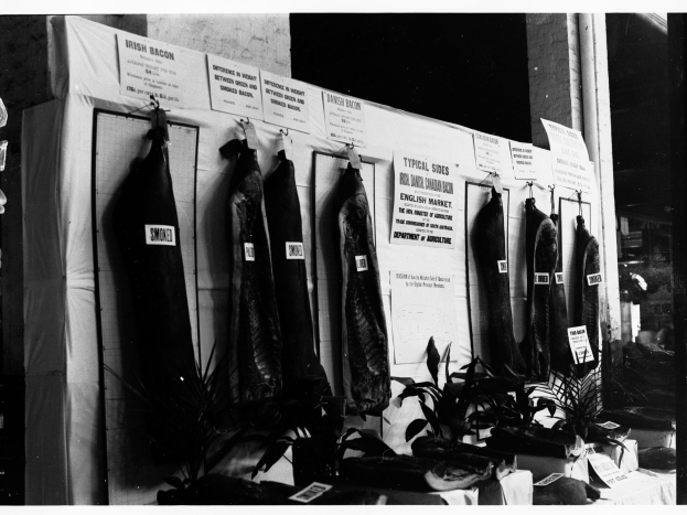 Ein Schwarz-Weiß-Foto einer Metzgerei mit verschiedenen Fleischsorten an der Wand, umgeben von Pflanzen und anderen Gegenständen auf einem Tisch, mit Papieren an der Wand.