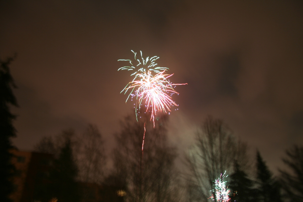 Umgestürzte Bäume mit Feuerwerk und Wolken im Hintergrund.