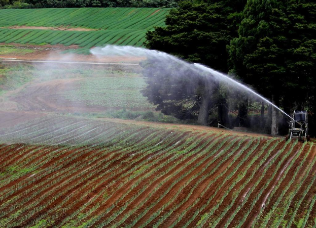 Landwirtschaftliches Feld mit verschiedenen Pflanzen, einer Bewässerungsmaschine im Vordergrund, großen Bäumen im Mittelgrund und verschiedenen Kulturen im Hintergrund.